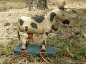 "PATTERN" $15.00 plus $3.00 Shipping. Meet Pearly Moo she is 14" tall and 11" long. Easy to follow instructions.