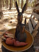 SOLD  $45.00 shipping included.  The rabbit's are 8" and 11" tall.  The carrot is 6" long.  Email for information or more pictures. Bowl not included.